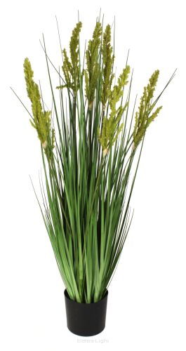 Trawa pampasowa w doniczce A0044 120cm 