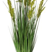 Trawa pampasowa w doniczce A0044 120cm 