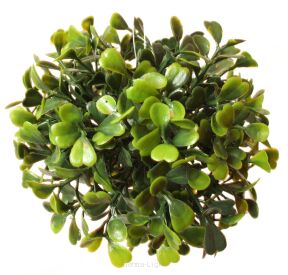 Kula bukszpanowa KDGBW-13cm