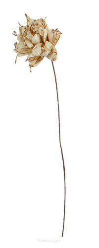 Shola dazel flower I699 (27308)