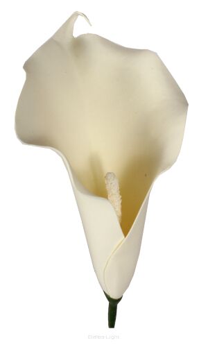 Kalia pianka wyrobowa KDGT51 9x12cm/h15cm