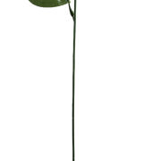 Łodyga uniwersalna KDGE504 h63cm