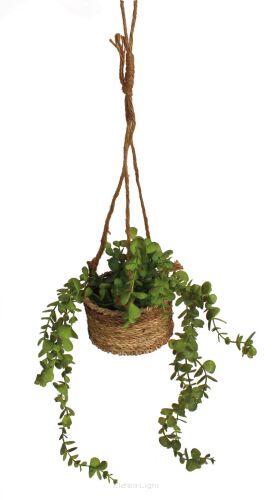 Doniczka wisząca z eukaliptusem 124CAN051 śr13/h80cm
