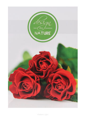Bileciki z kopertą 10szt design by NATURE 7,5x10,5cm Wybór wzoru losowy