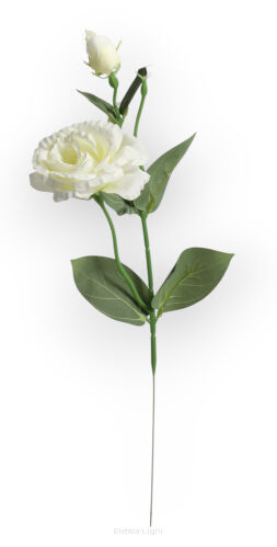 Eustoma T137-24-1790 h50cm / Ø 6cm