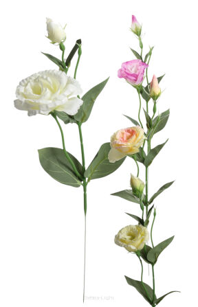 Eustoma T137-24-1790 h50cm / Ø 6cm