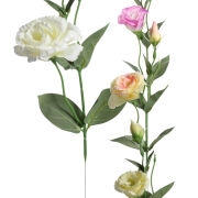 Eustoma T137-24-1790 h50cm / Ø 6cm