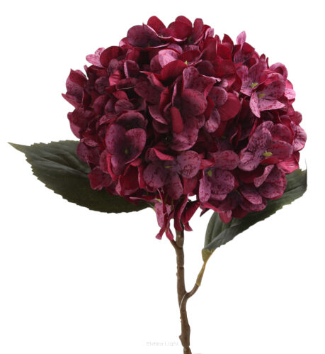 Hortensja pojedyncza CV32047 h60cm / ⌀20cm