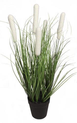 Trawa w doniczce CV17504 50cm