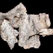 Dekoracje naturalne kora bielona TG51666