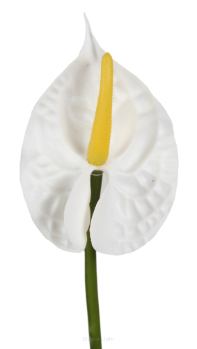 Anturium średnie gumowe na łodydze KDGK51 56cm