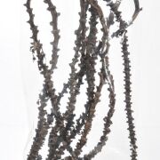 Banana stem natura 60cm V-0043 (27684)