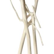 Matsumata wybielana 100cm 3szt 13347