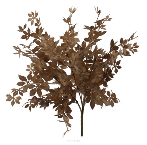 Cissus pasiasty x5 124CANFC4720 h35cm