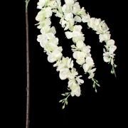 Wisteria na łodydze VIP3462 147cm