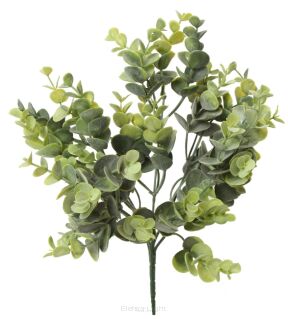 Bukiet eukaliptus A5-0310 30cm