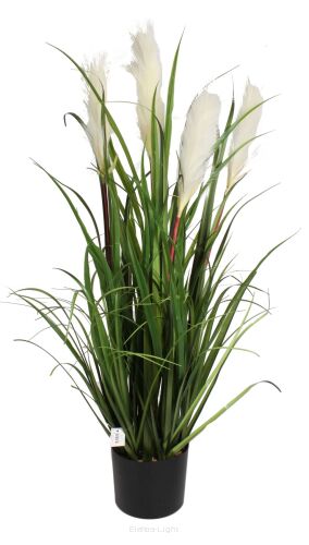 Trawa pampasowa w doniczce CV17593 h97/śr16cm