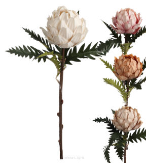 Protea na łodydze 52cm 070612