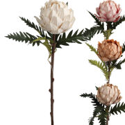 Protea na łodydze 52cm 070612