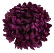 DK.FUCHSIA #XYBE233 fioletowy