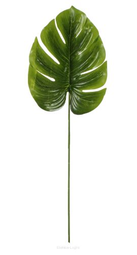 Liść monstery CV13755 48cm