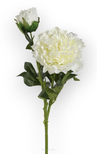 Peonia L313 h75cm / ⌀ 17cm