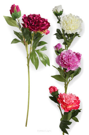 Peonia L313 h75cm / ⌀ 17cm