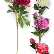 Peonia L313 h75cm / ⌀ 17cm