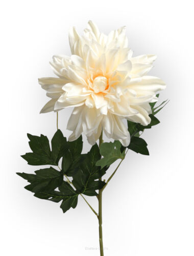 Dalia na łodydze L305 h64cm / ø18cm