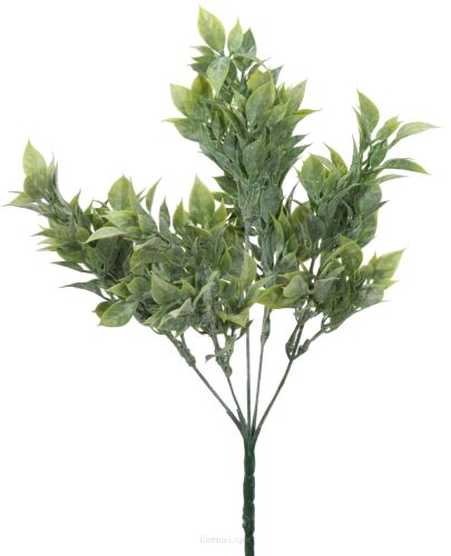Ruscus bukiet A5-01038 33cm