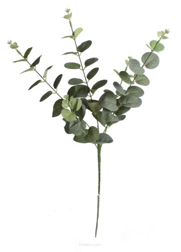 Gałązka eukaliptusa CV22415 59cm