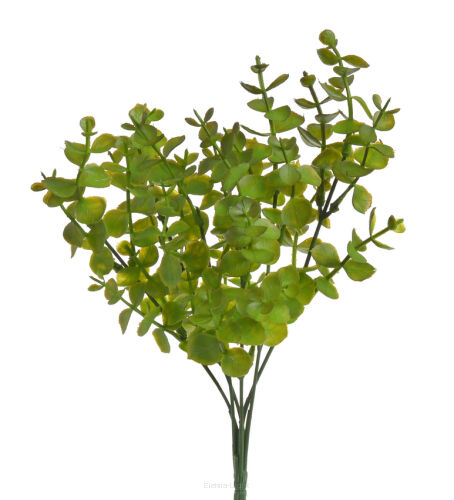 Eukaliptus mini 124CANFC3723 33cm