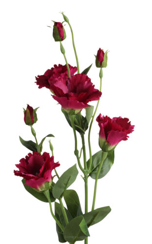 Eustoma gałązka'4 CV33088 h80cm