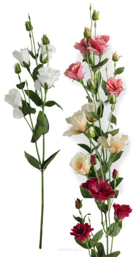 Eustoma gałązka'4 CV33088 h80cm