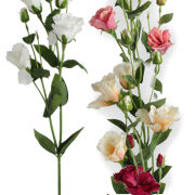 Eustoma gałązka'4 CV33088 h80cm