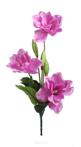Bukiet magnolii FMC073062 60cm