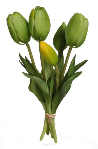 5 zielony