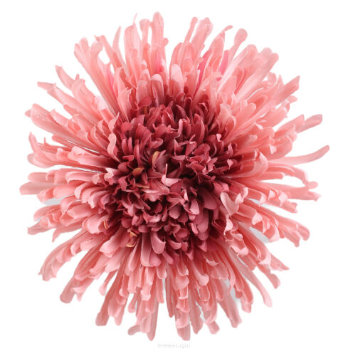 Chryzantema wyrobowa 15cm KDGT36