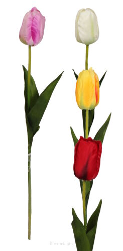 Tulipan satynowy na łodydze KDGT97 60cm