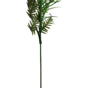 Gipsówka A526DD h50cm