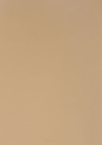PAPIER PREZENTOWY PAW 200CMX70CM (3345) JEDNOBARWNY