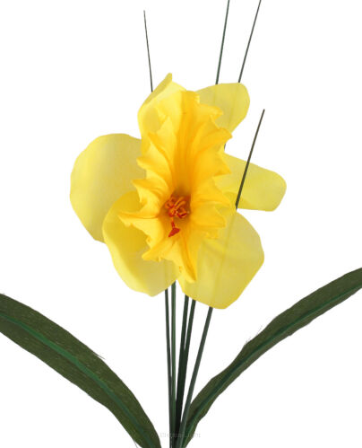 Żonkil na łodydze KWX050 50cm