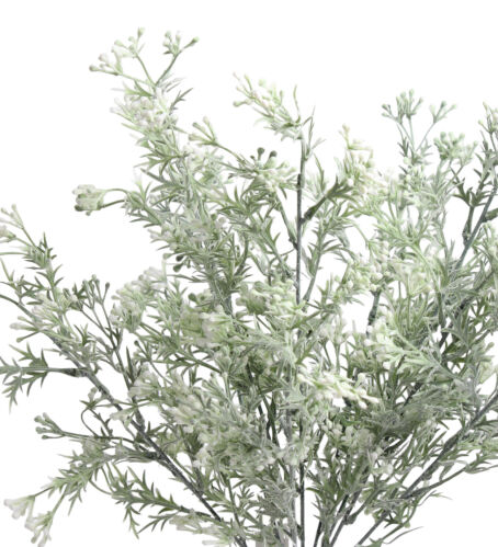 Bukiet broom bloom 124CAN3571 50cm