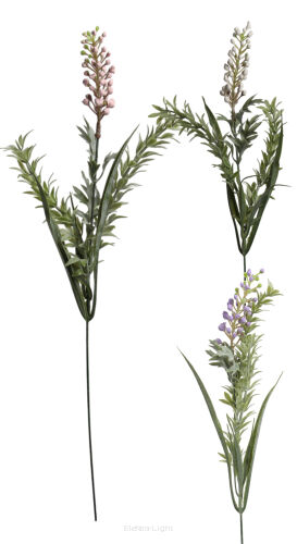Dodatek żarnowiec 45cm Z6799