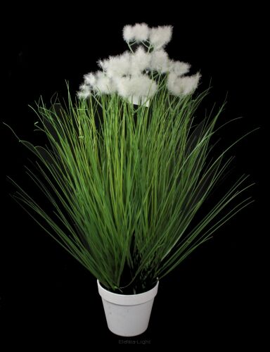 Trawa ozdobna w doniczce 5034P 60cm