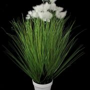Trawa ozdobna w doniczce 5034P 60cm