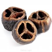 Talami naturalne 8-10cm 6szt/opk