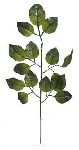 Liść róży 55cm FML069025 54cm (443368)