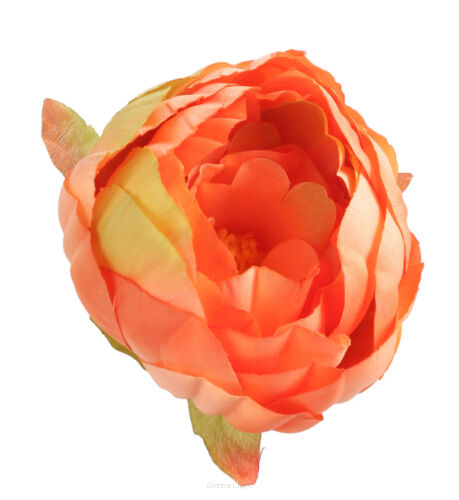 Peonia wyrobowa M814
