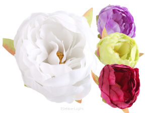 Peonia wyrobowa M814